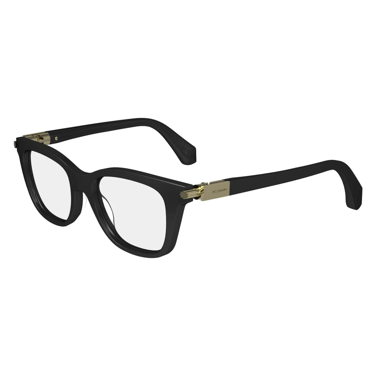 Salvatore Ferragamo Eyeglasses SF2973