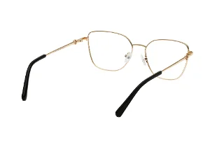 Harley Davidson Eyeglasses HD50118