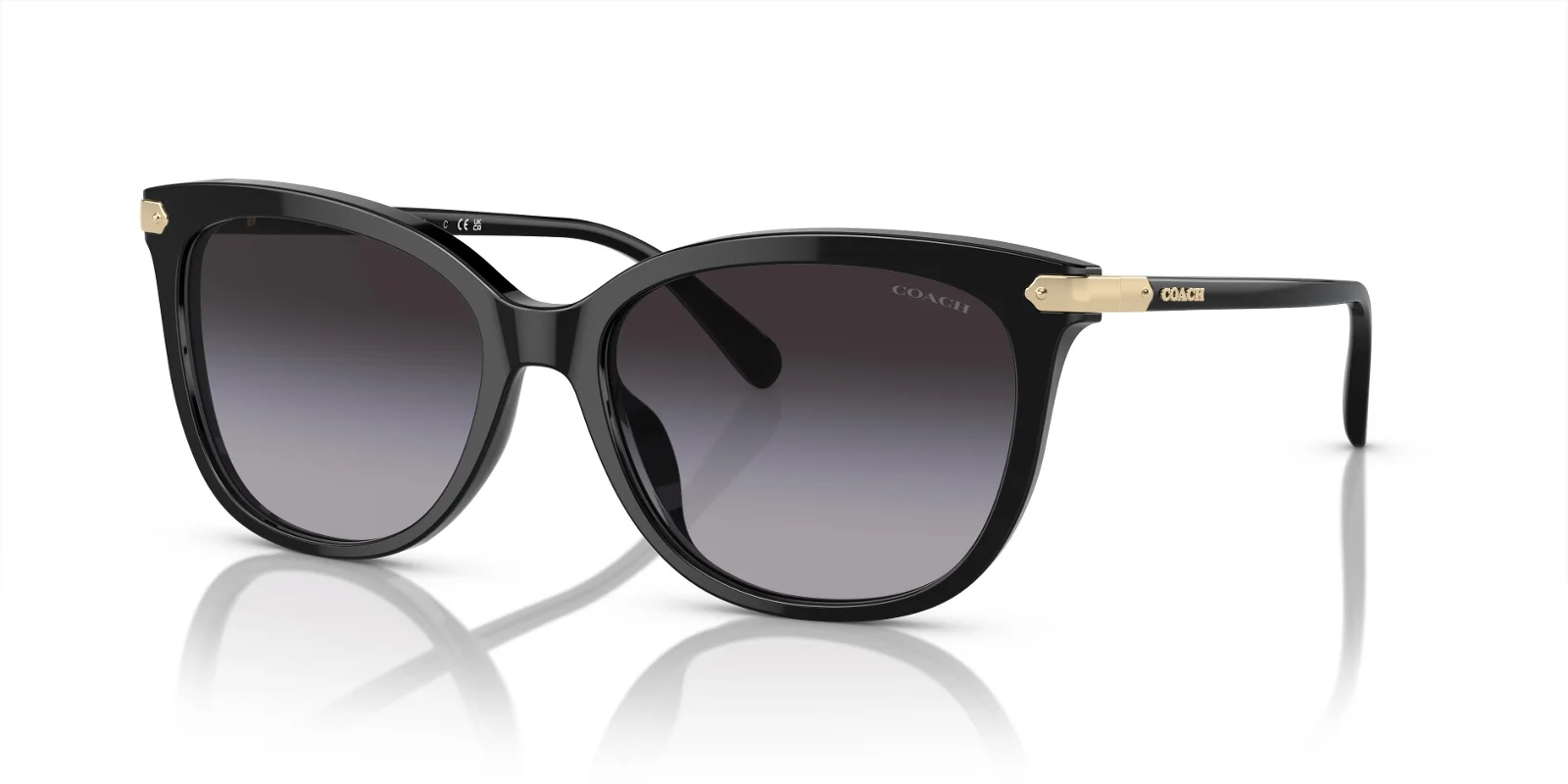 Coach Sunglasses HC8378U