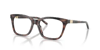 6461 Shiny Havana Tundra