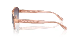 Coach Sunglasses HC7161