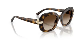 Vogue Sunglasses VO5706SB