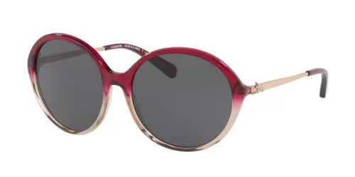 Coach Sunglasses HC8214
