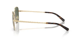Brooks Brothers Sunglasses BB4066