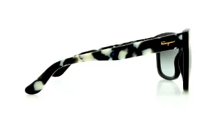 Salvatore Ferragamo Sunglasses SF676S