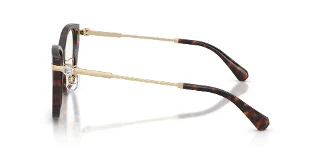 Swarovski Eyeglasses SK2060F