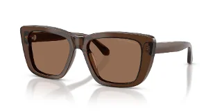 Emporio Armani Sunglasses EA4246U