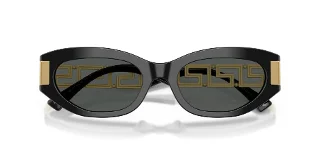 Versace Sunglasses VE4501F