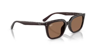 Ray Ban Sunglasses RB4439D