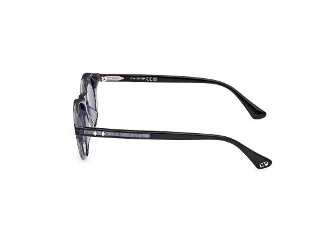 Web Sunglasses WE0337