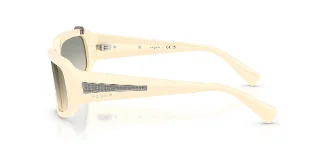 Vogue Sunglasses VO5688SB