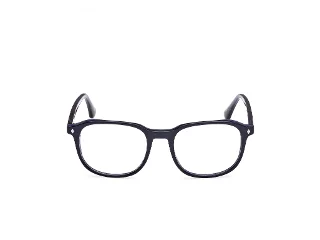Web Eyeglasses WE5454