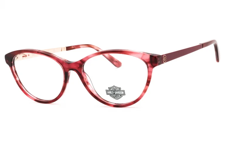 Harley Davidson Eyeglasses HD0570