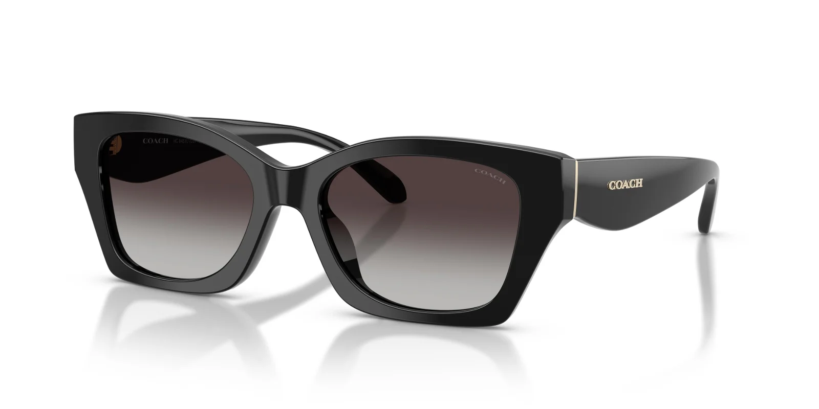 Coach Sunglasses HC8451U
