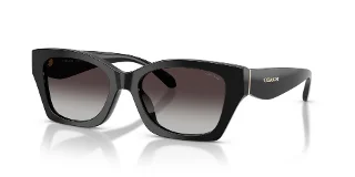 Coach Sunglasses HC8451U