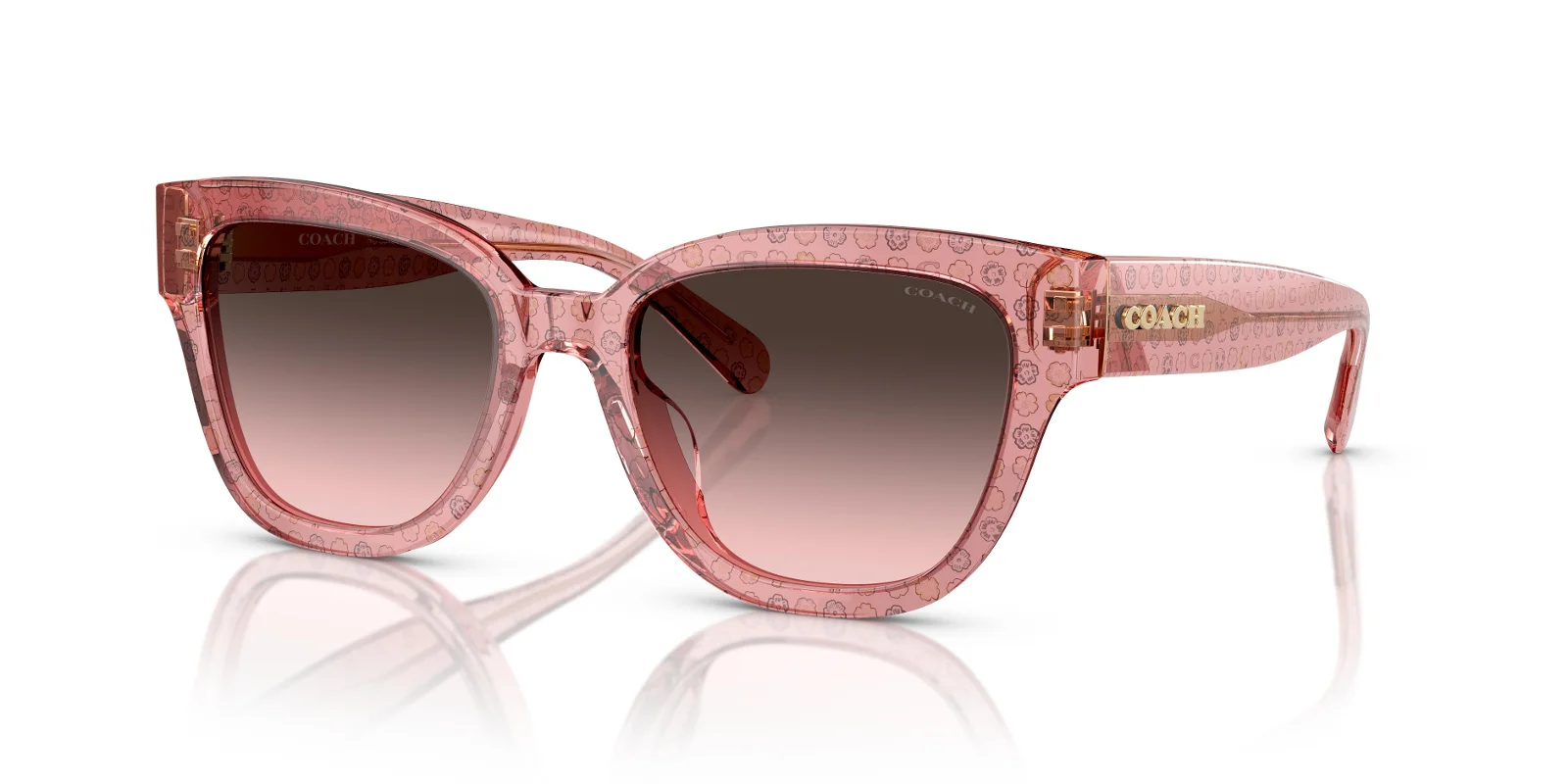 Coach Sunglasses HC8379U
