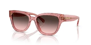 Coach Sunglasses HC8379U
