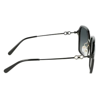 Salvatore Ferragamo Sunglasses SF1034SA