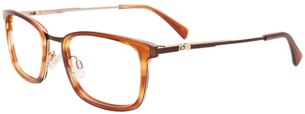 Easyclip Eyeglasses EC617