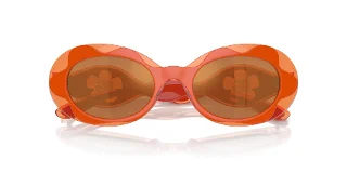 Dolce & Gabbana Sunglasses DX6005