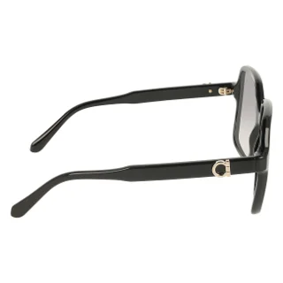 Salvatore Ferragamo Sunglasses SF2069SE