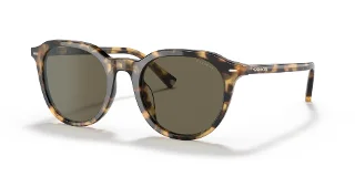 Coach Sunglasses HC8339U