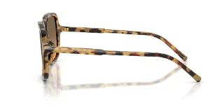 Dolce & Gabbana Sunglasses DG4539