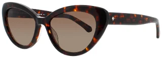 086 Dark Tortoise