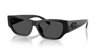 Coach Sunglasses HC8470D