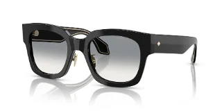 Giorgio Armani Sunglasses AR8223