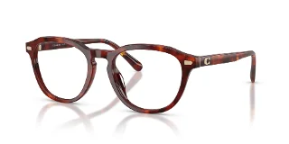 5938 Walnut Tortoise