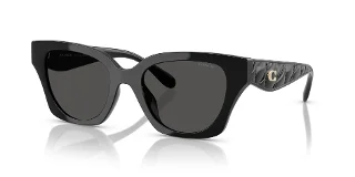 Coach Sunglasses HC8418U