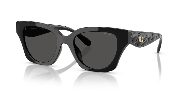 Coach Sunglasses HC8418U