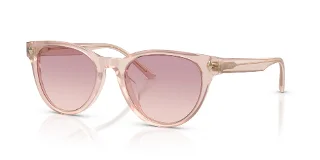 Jimmy Choo Sunglasses JC5043D