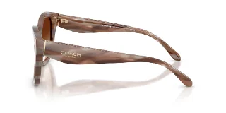 Coach Sunglasses HC8438U