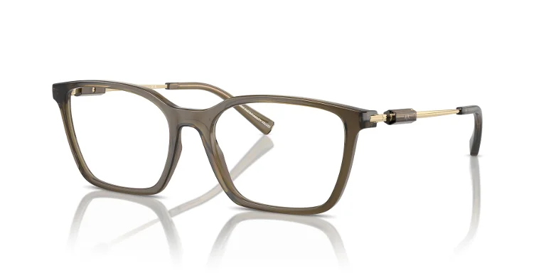 Armani Exchange Eyeglasses AX3113