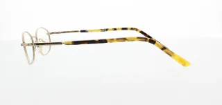 Polo Eyeglasses PP8010
