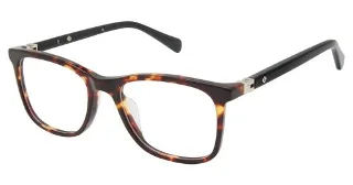 C02 Tortoise