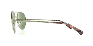 Cole Haan Sunglasses CH610