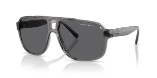 823981 Shiny Transparent Grey