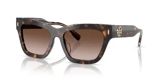 172813 Dark Tortoise