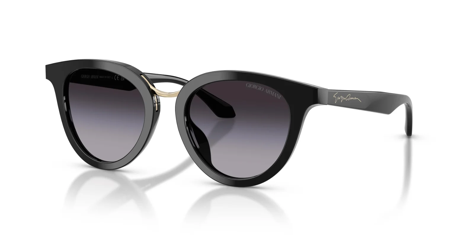 Giorgio Armani Sunglasses AR8252U