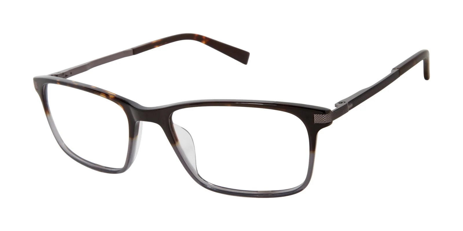 Ted Baker Eyeglasses TXL004