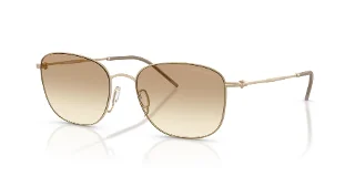 300213 Matte Pale Gold