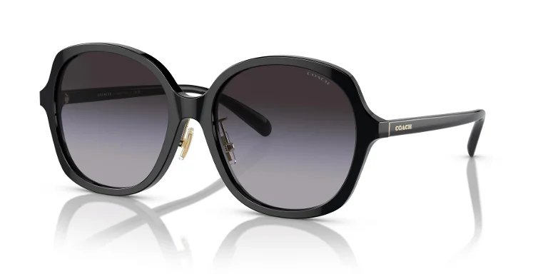 Coach Sunglasses HC8360F
