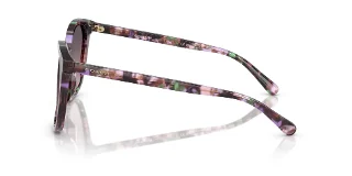 Coach Sunglasses HC8271U