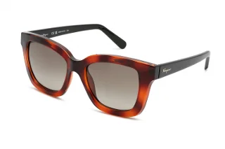 Salvatore Ferragamo Sunglasses SF955S