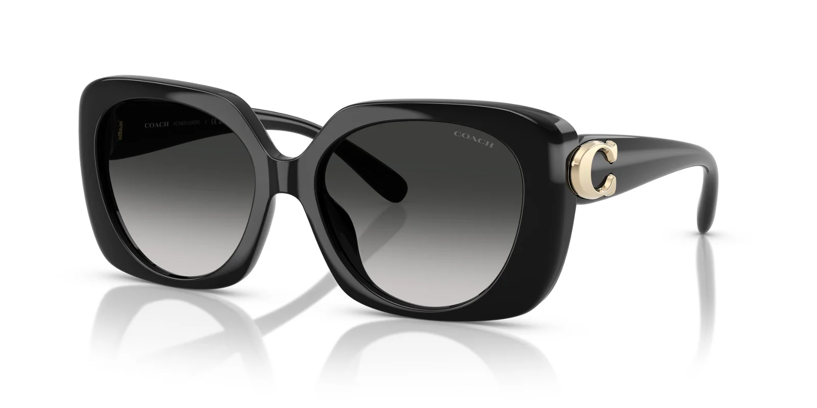 Coach Sunglasses HC8422U