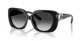 Coach Sunglasses HC8422U