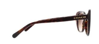Coach Sunglasses HC8204 L1631